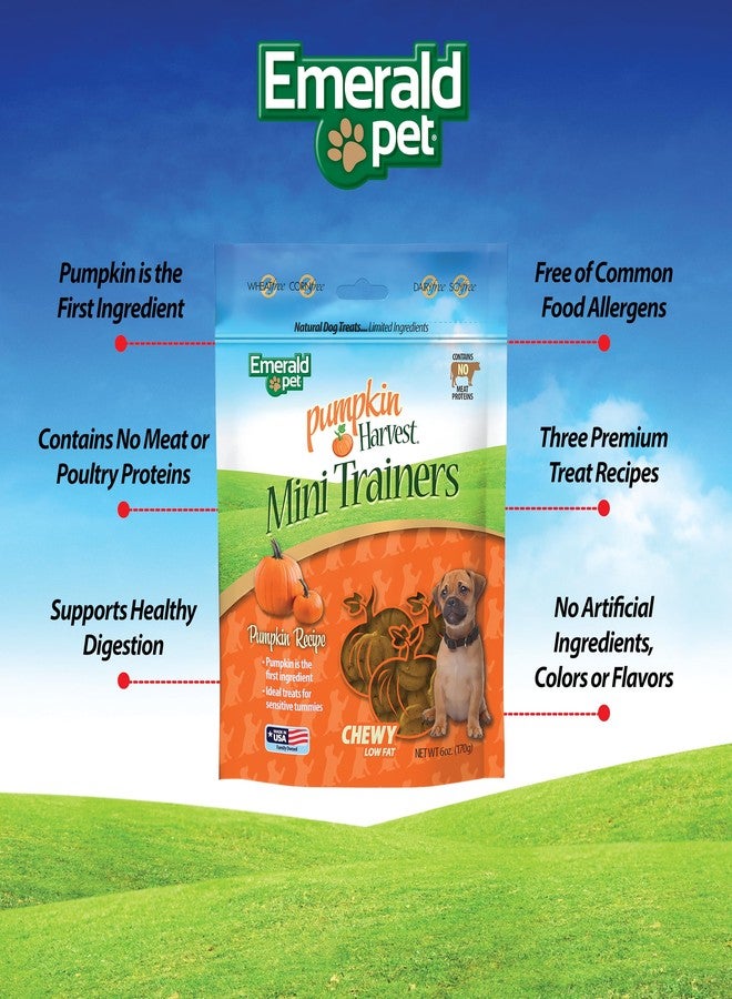Emerald Pet Pumpkin Mini Trainers Dog Treats, 6 oz - Support Healthy Digestion, Allergen-Friendly, Vegetarian, Low-Fat, Grain Free, Made in USA - Image 2